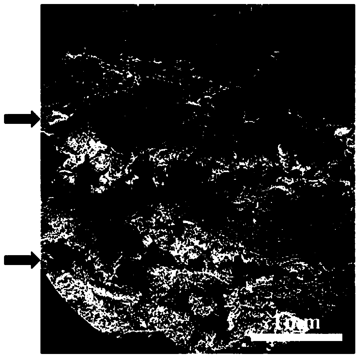 Soft and hard tissue integrated regeneration-repair gradient three-dimensional fibrous scaffold and preparation method thereof