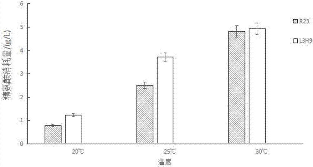 Tetragenococcus halophilus strain high effectively using arginine and preventing accumulation of citrulline