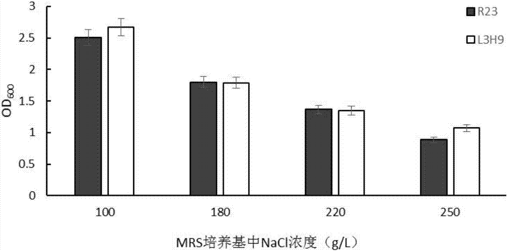 Tetragenococcus halophilus strain high effectively using arginine and preventing accumulation of citrulline