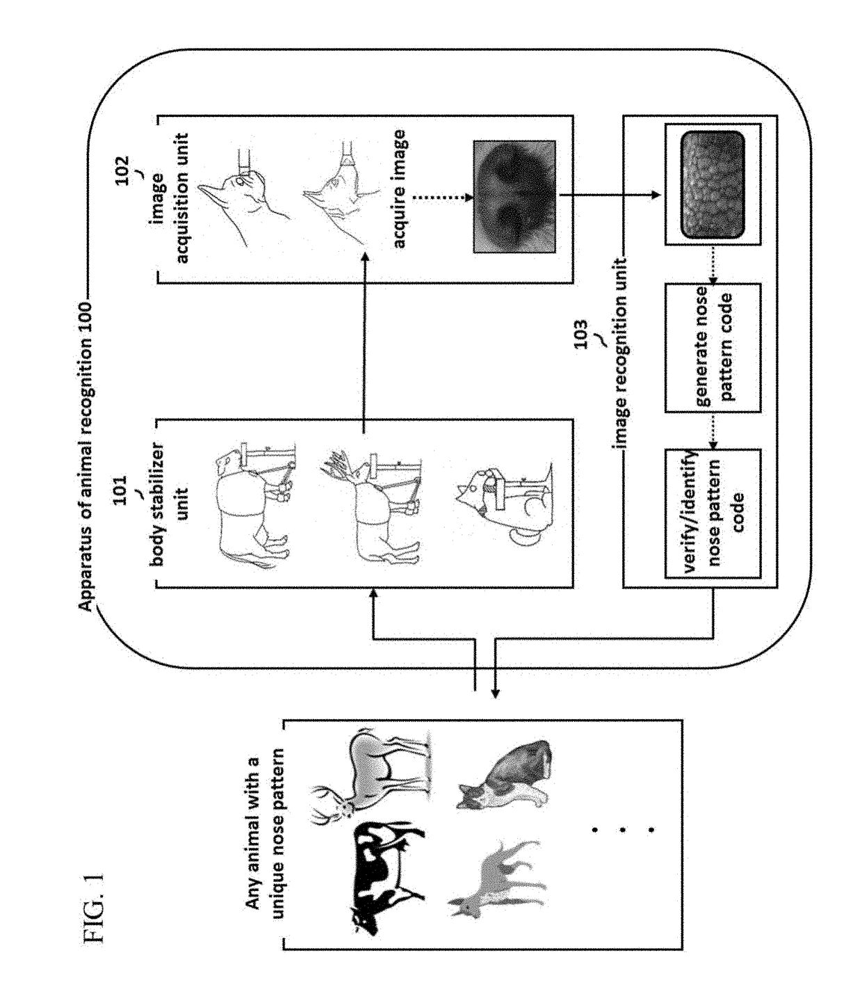 Device and method for recognizing animal's identity by using animal nose prints