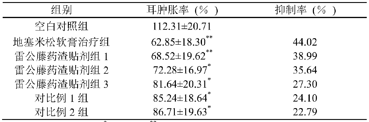 Tripterygium wilfordii decoction dreg patch and preparation method thereof