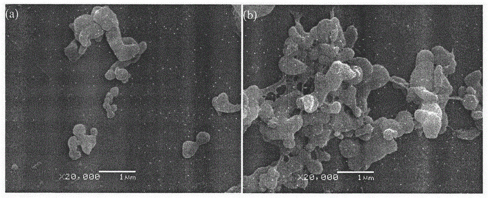 Laser preparation method of porous bone scaffold and adding zinc oxide to improve performance