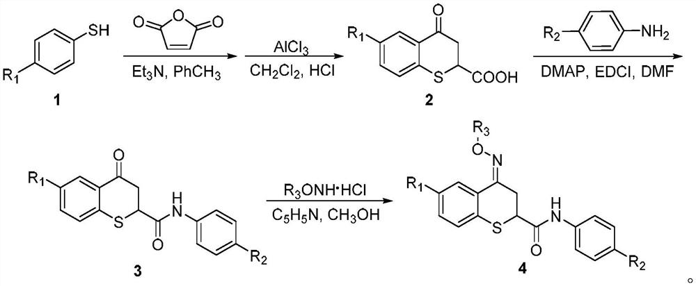 Preparation method and application of thiochroman-4-one derivative containing amide and oxime or oxime ether structure
