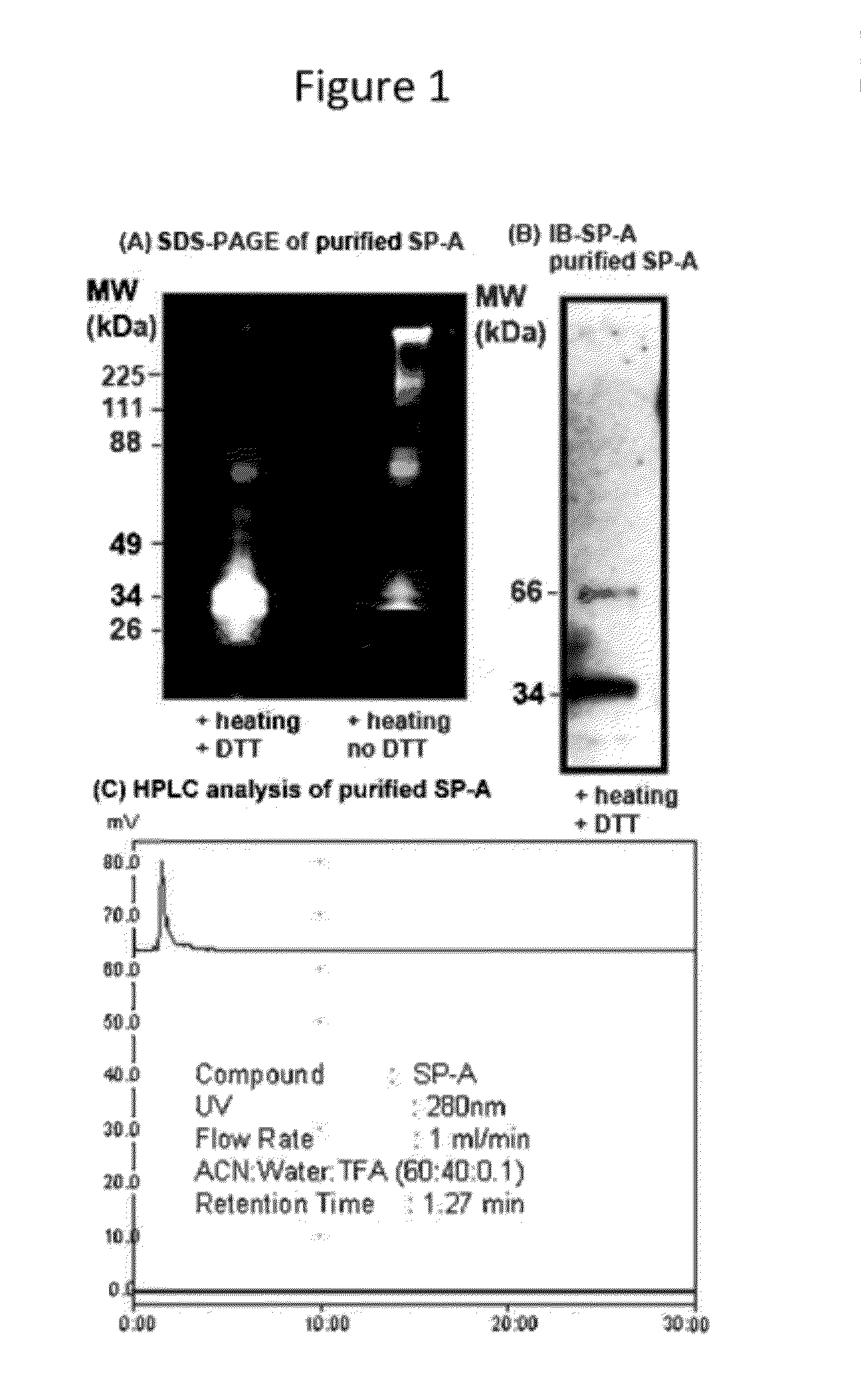 Peptide compositions that downregulate tlr-4 signaling pathway and methods of producing and using same