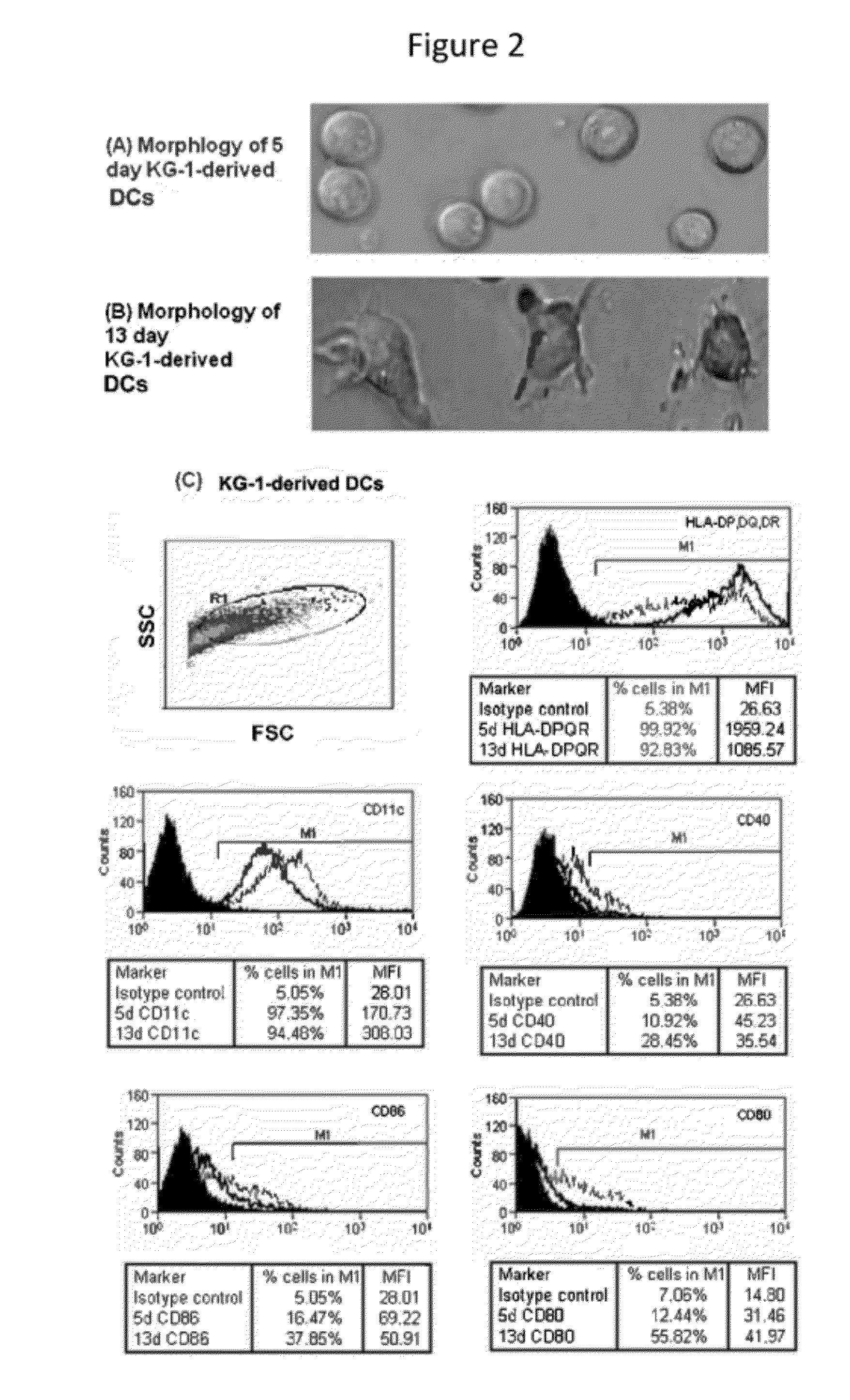 Peptide compositions that downregulate tlr-4 signaling pathway and methods of producing and using same