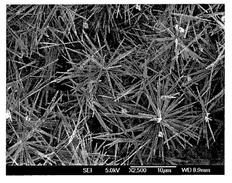 Water polyurethane base flower cluster-shaped zinc oxide nanometer whisker antibiotic composite material, preparation method and use thereof