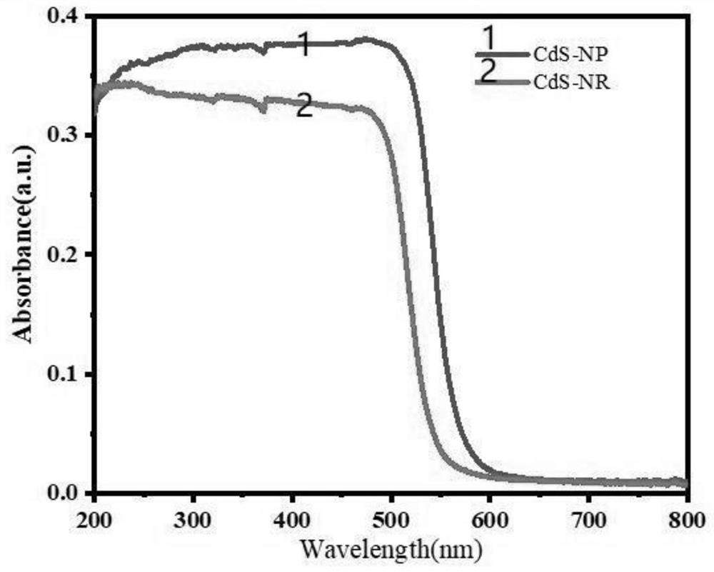 Preparation method of CdS nanobelt for producing H2O2