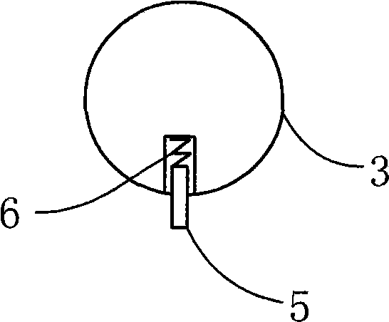 Apparatus for preventing pumping rod disengaging from screw pump