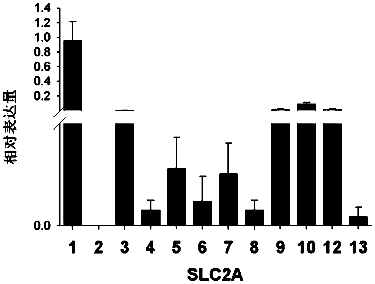 Application of SLC2A1 expression to preparing kit for detecting fertility of oocytes