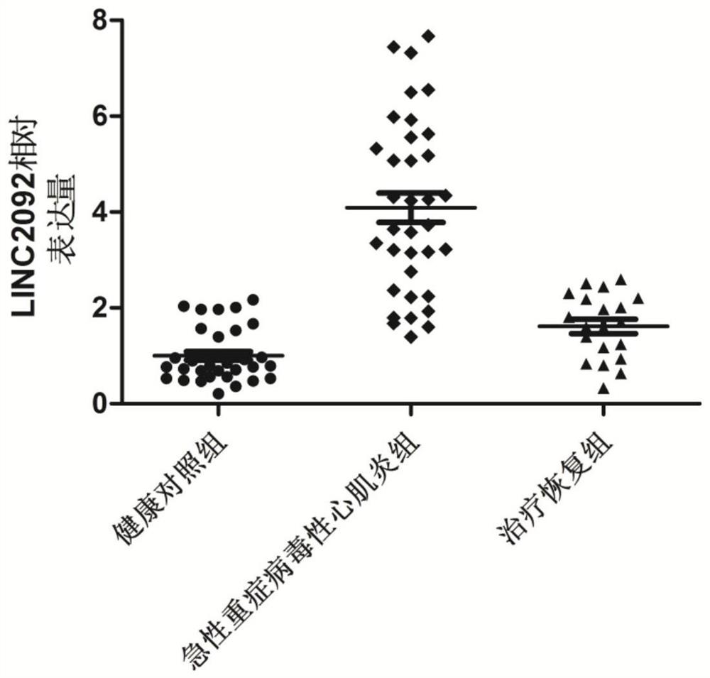 Gene marker for acute severe viral myocarditis