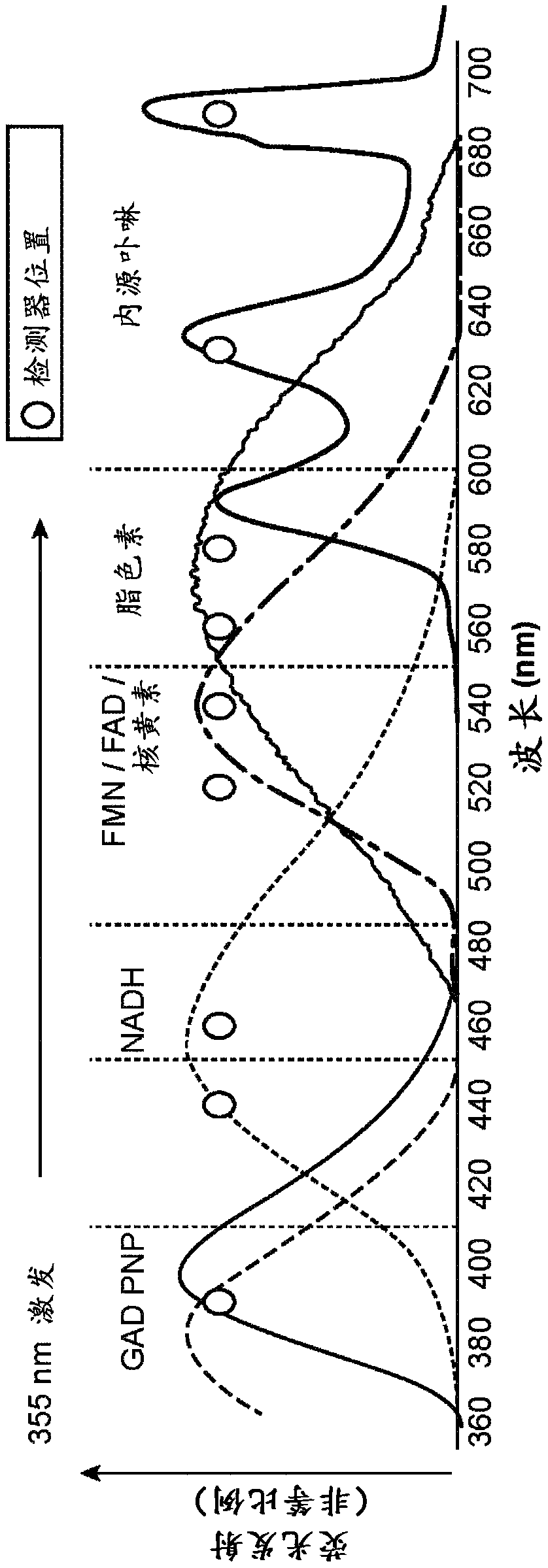 Systems, devices, and methods for time-resolved fluorescent spectroscopy