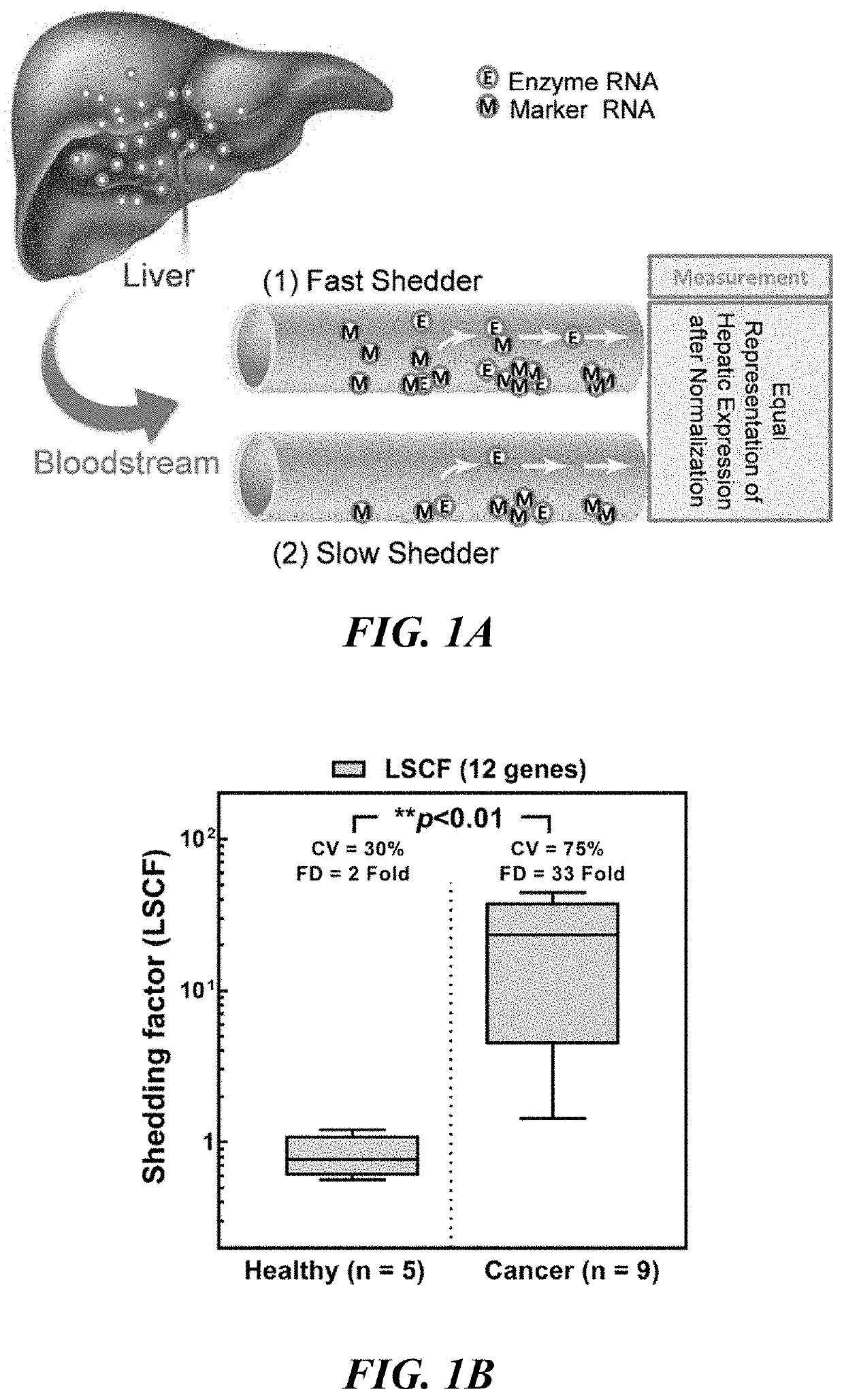 Methods and apparatus for quantifying protein abundance in tissues via cell free ribonucleic acids in liquid biopsy