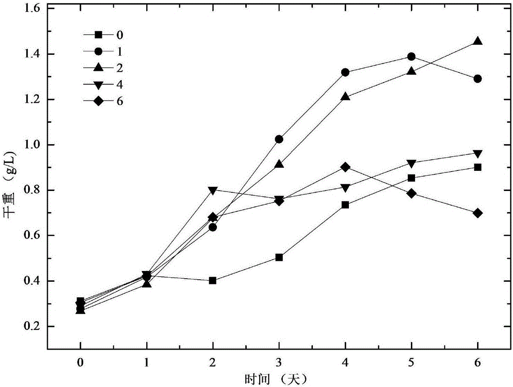 Method for culturing chlorella by using crude glycerine optimized sludge dewatering liquid