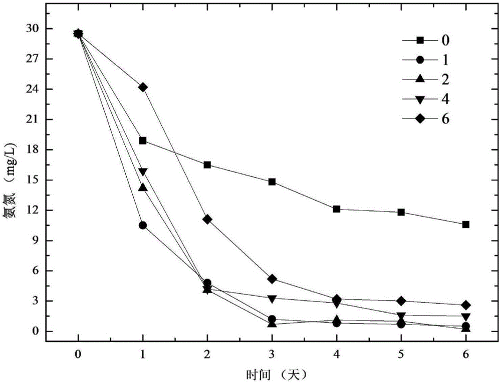 Method for culturing chlorella by using crude glycerine optimized sludge dewatering liquid