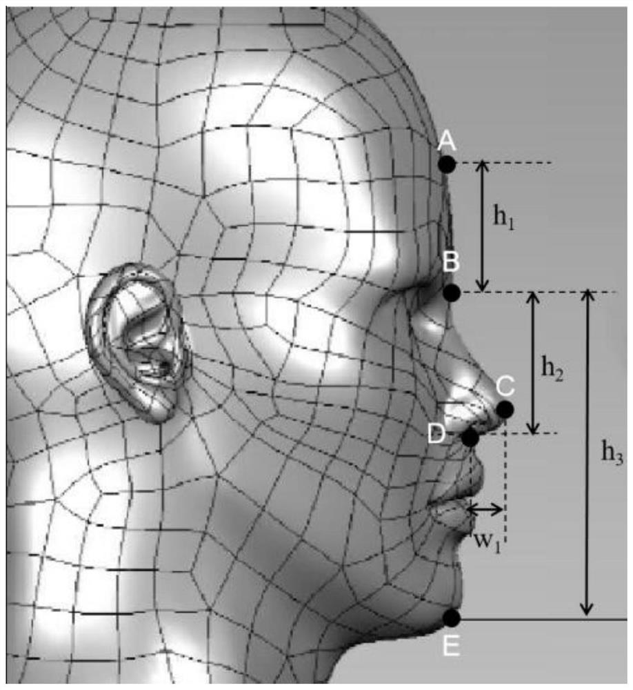 Parametric design method for 3D printing protective mask