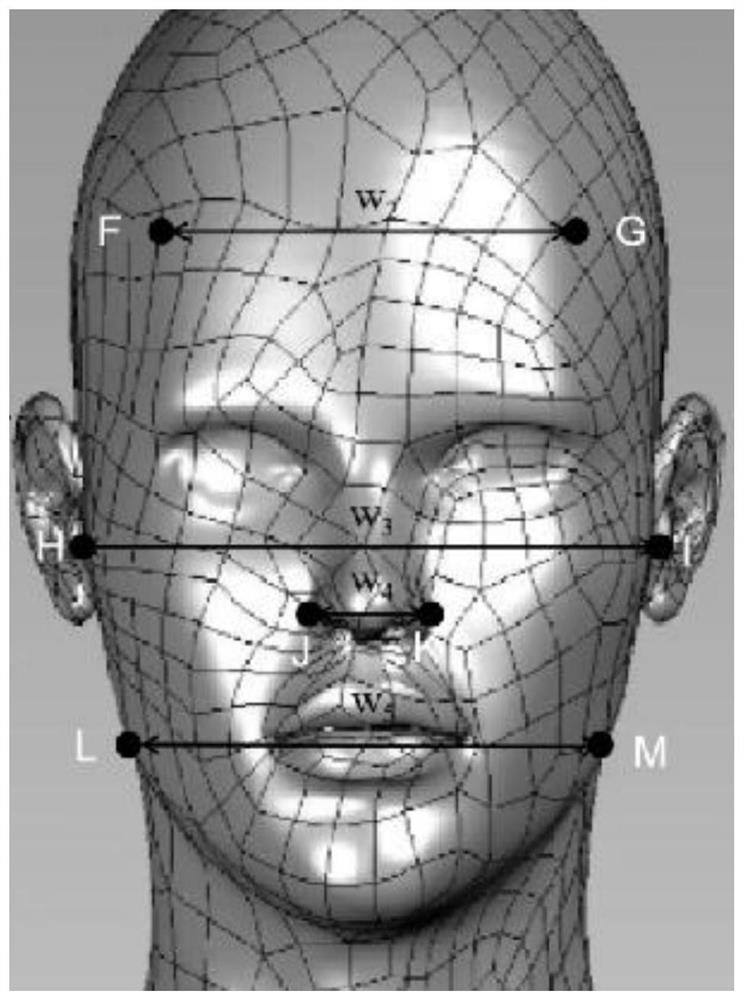 Parametric design method for 3D printing protective mask