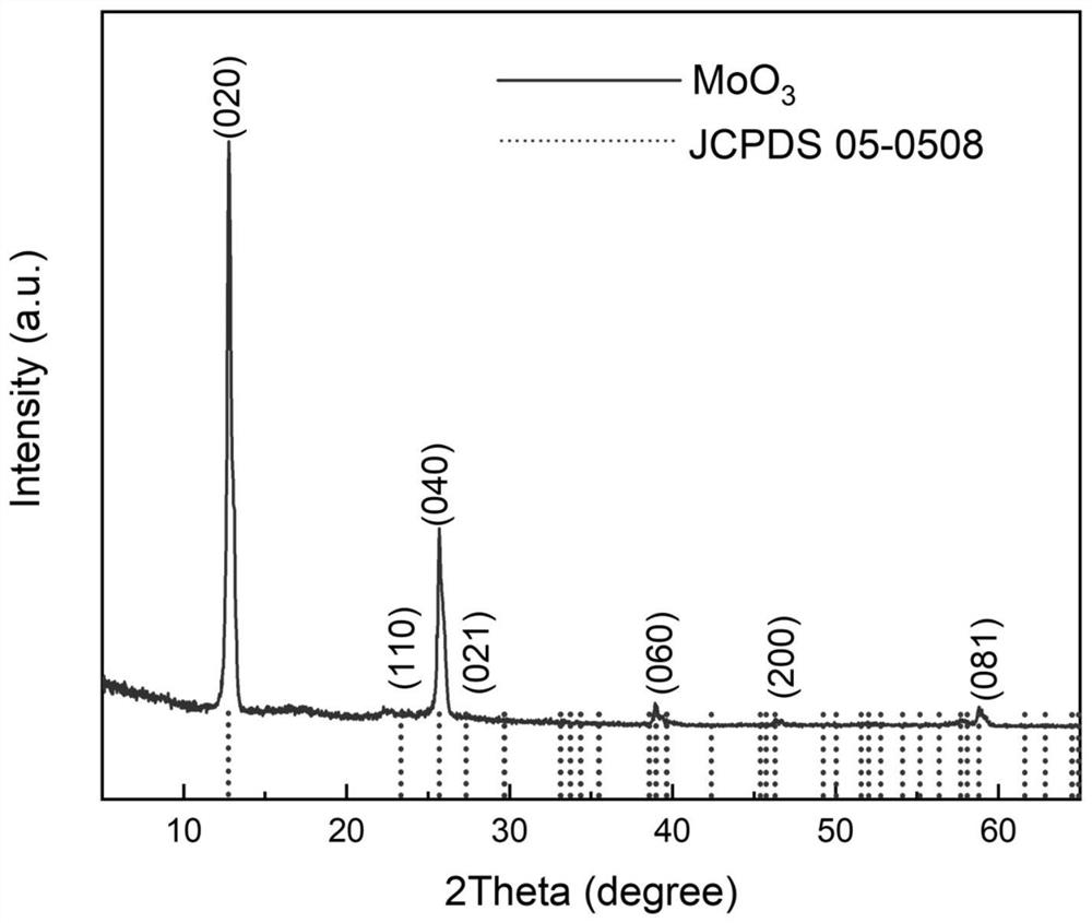 Method for preparing molybdenum trioxide nanowire by sol-gel method