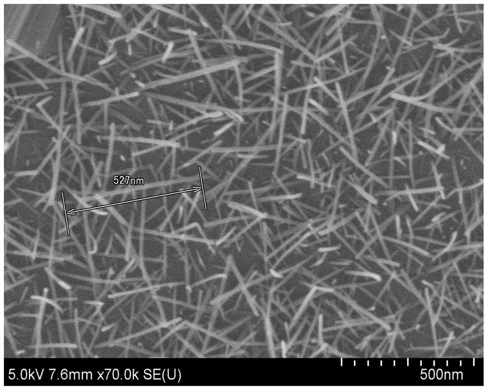 Method for preparing molybdenum trioxide nanowire by sol-gel method