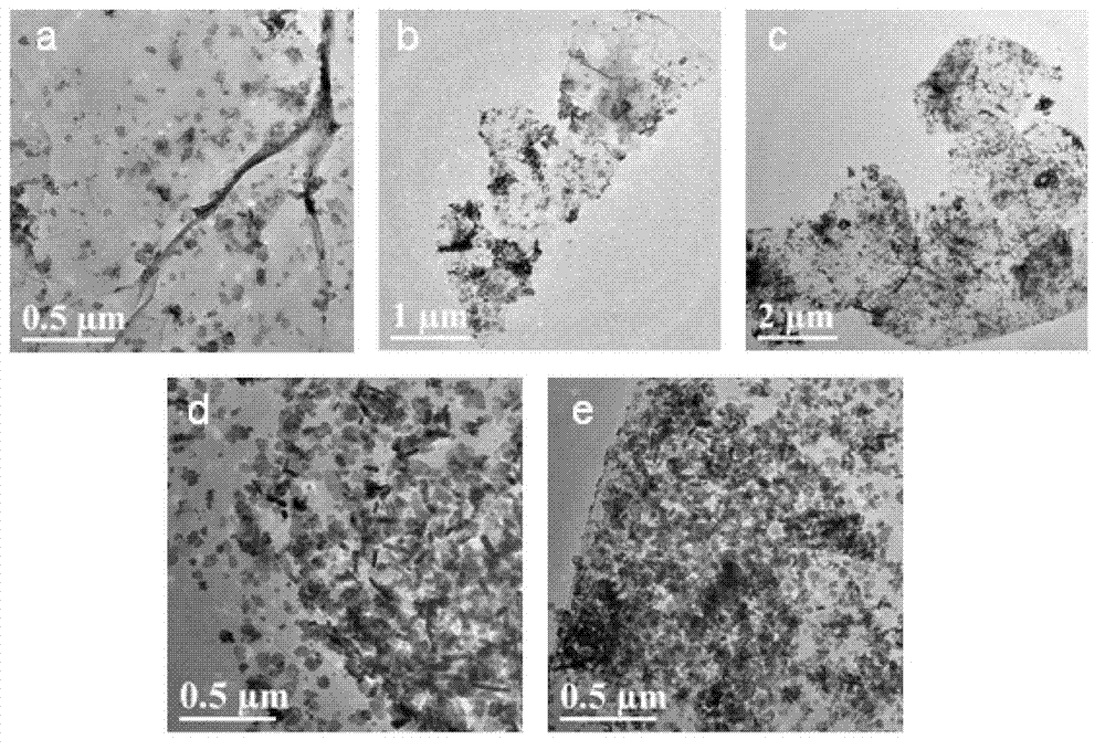Cobalt molybdate-graphene nano compound and preparation method thereof