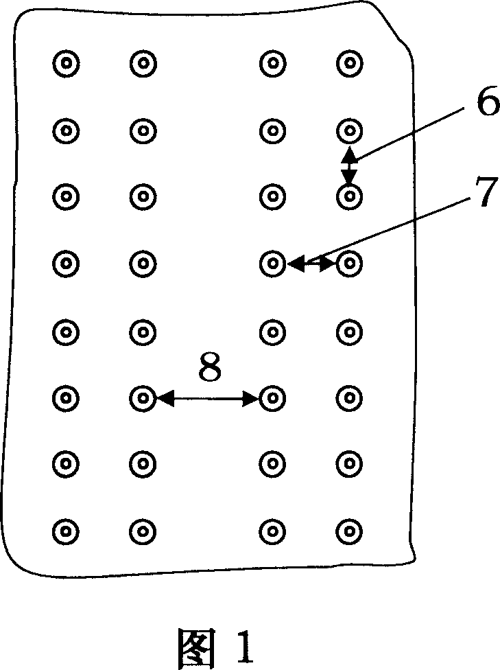 Double-tape close spacing afforested wood pruning method