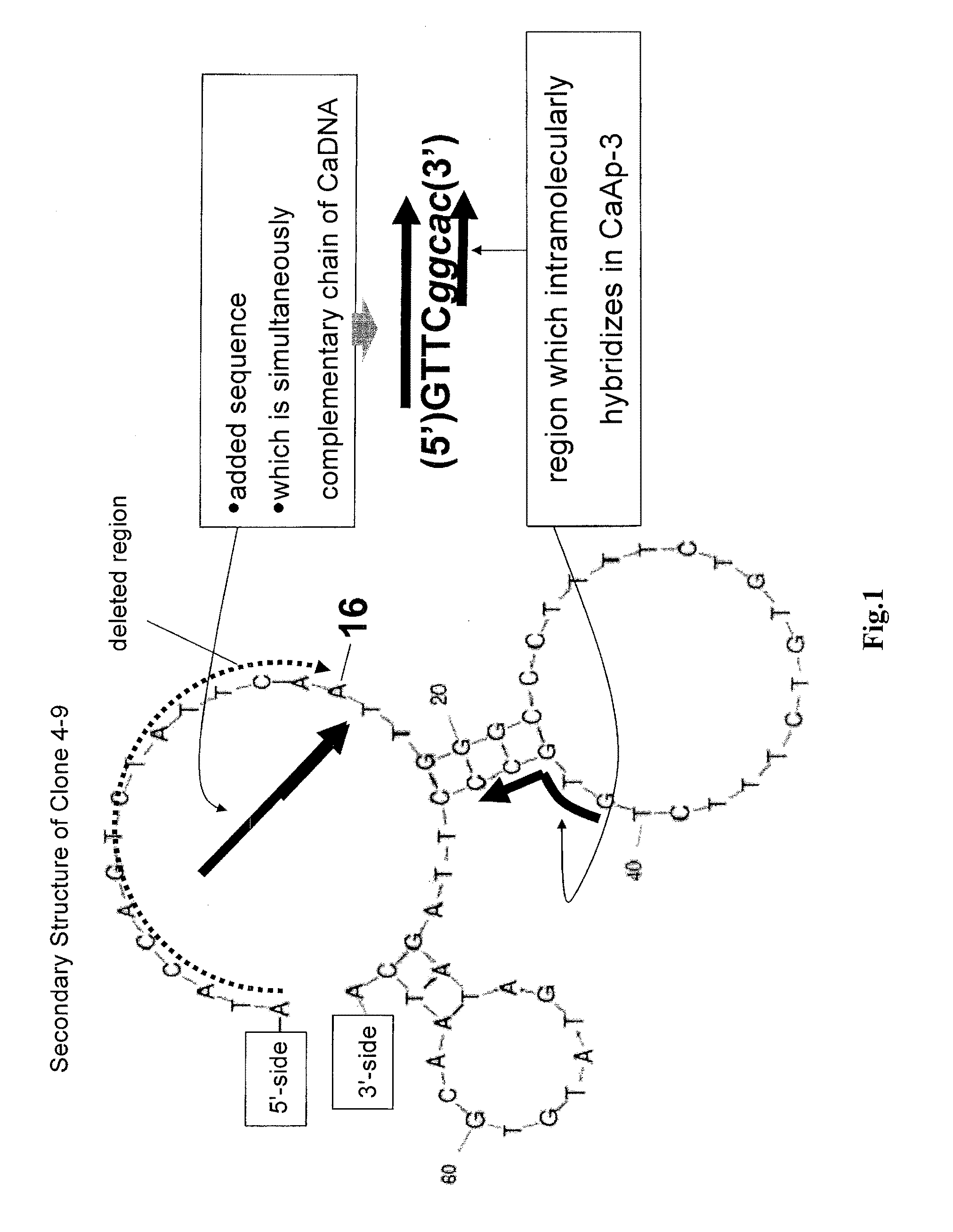 Method of assaying target substance in sample, aptamer molecule and method of constructing the same