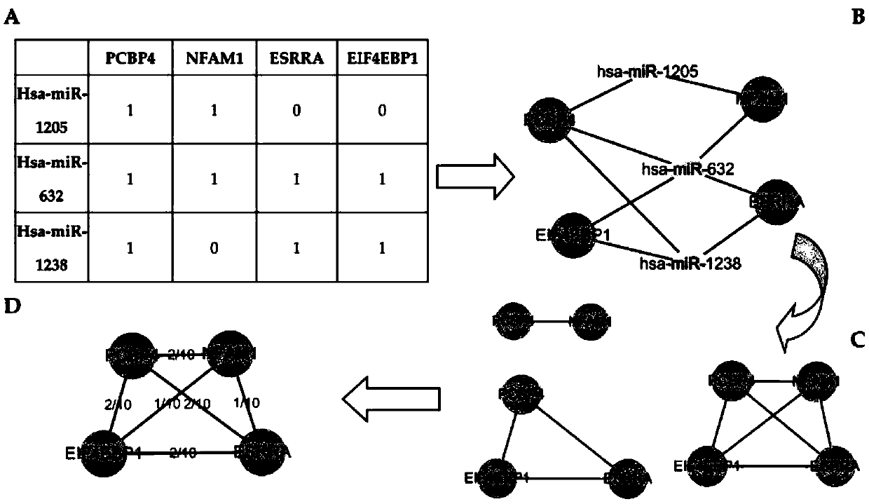 Binary network module identification method and system based on entropy production, and storage medium