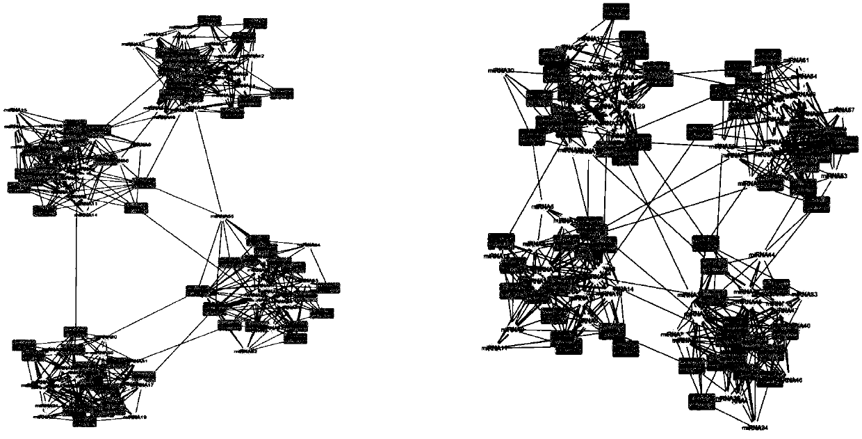 Binary network module identification method and system based on entropy production, and storage medium