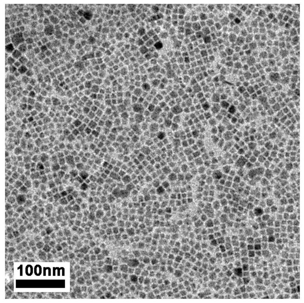 A kind of preparation method of stable lead-free all-inorganic double perovskite a2bb'x6 nanocrystals