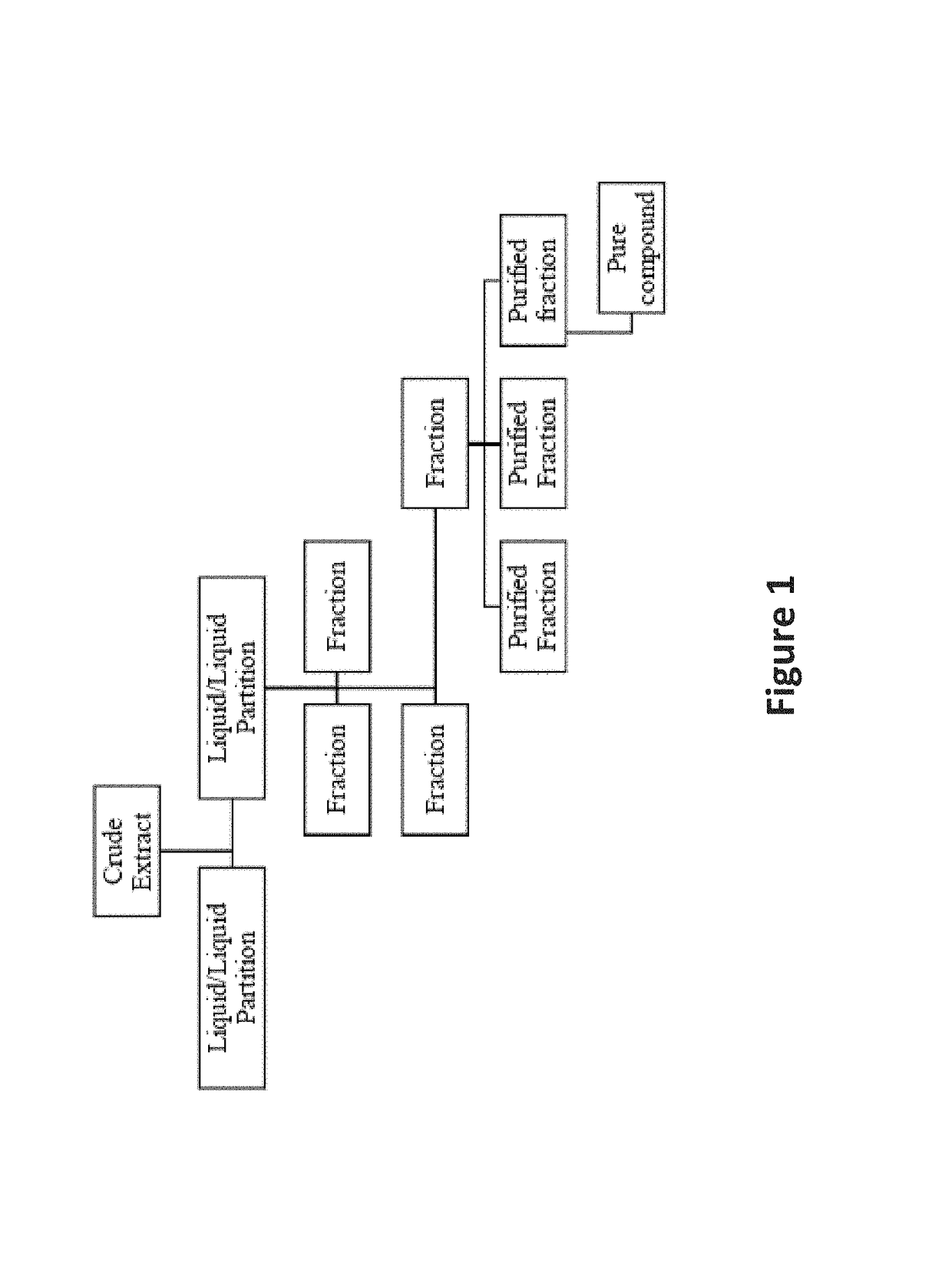 Antimicrobials from an epigenetics based fungal metabolite screening program