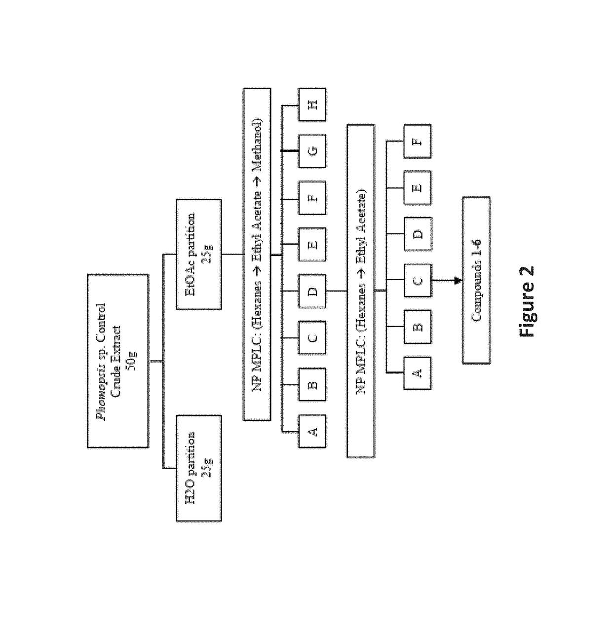 Antimicrobials from an epigenetics based fungal metabolite screening program