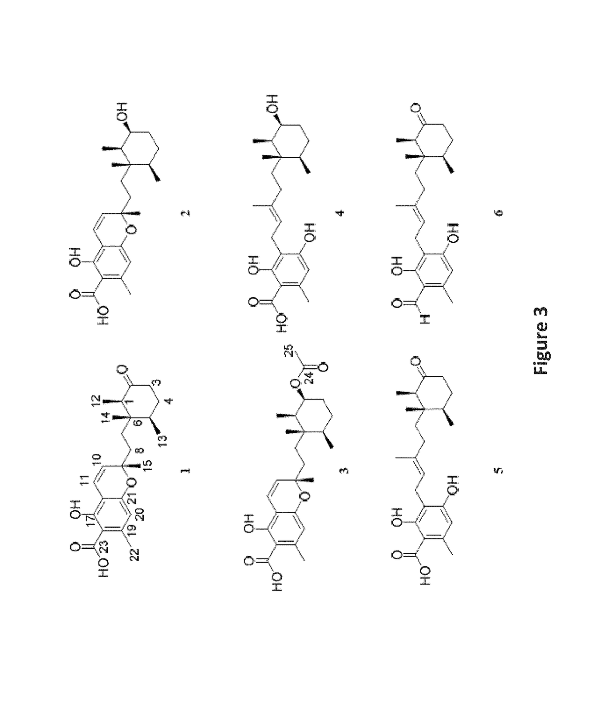 Antimicrobials from an epigenetics based fungal metabolite screening program