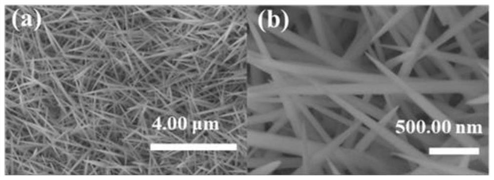 Selenium-doped nickel-cobalt sulfide with cross-linked nanosheet structure and preparation method of selenium-doped nickel-cobalt sulfide