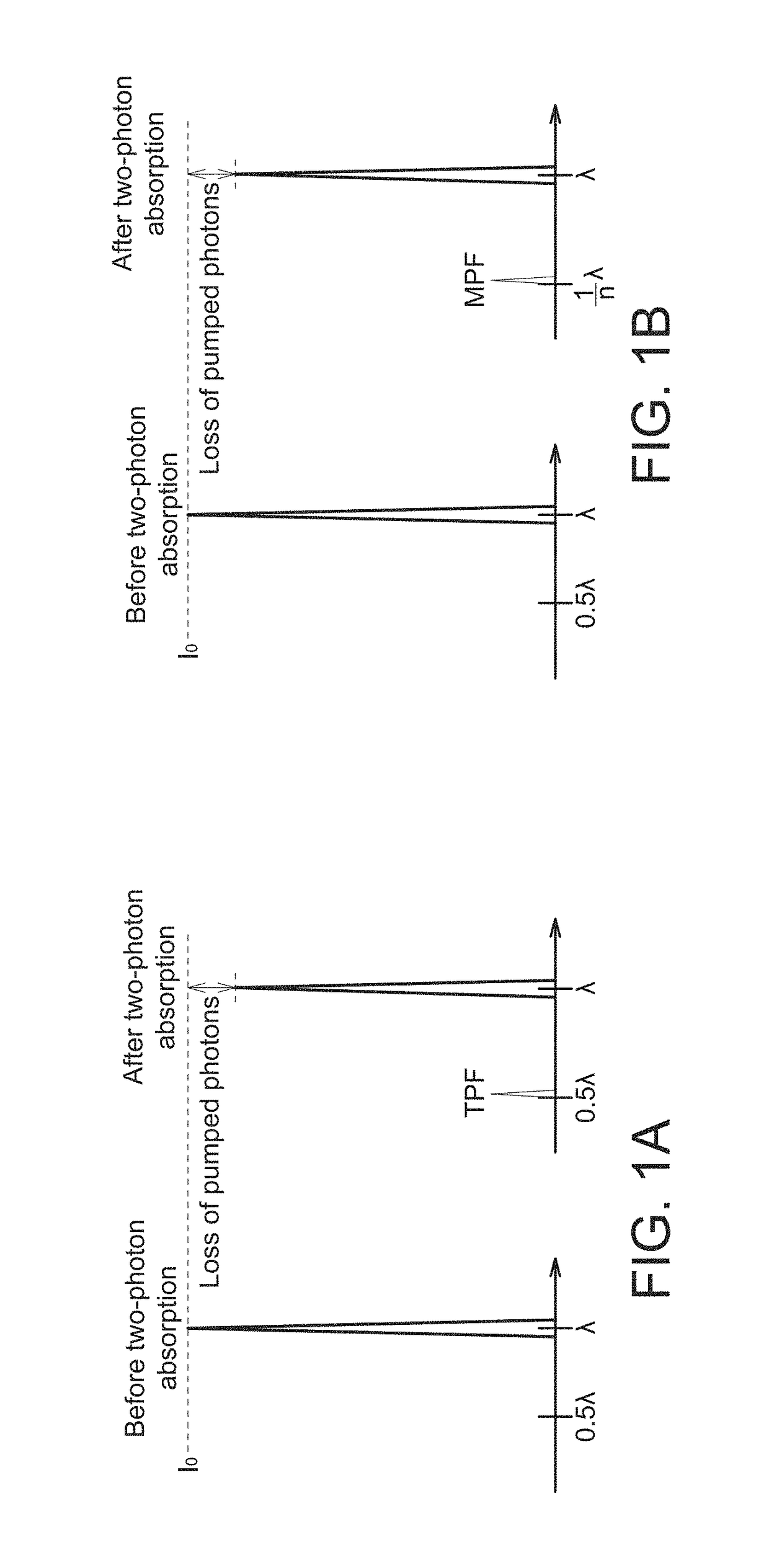 Method for inspecting an article and apparatus for measuring the article by multi-photon excitation technique