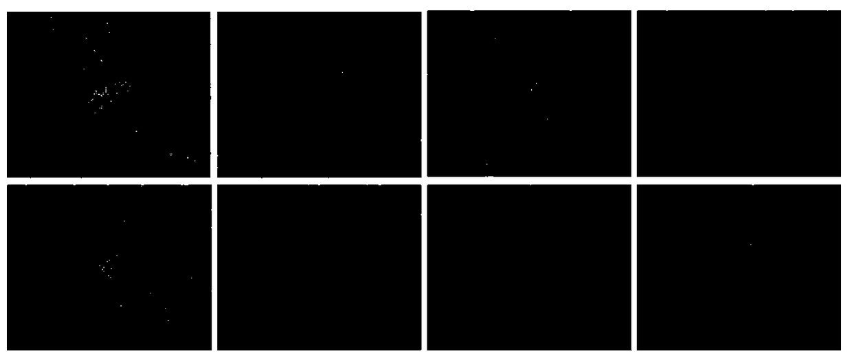 Ginsenoside composition with hypoglycemic activity and application thereof