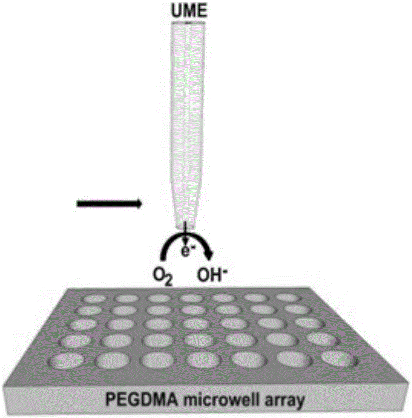 A method for characterizing the morphology of hydrogel microwell arrays