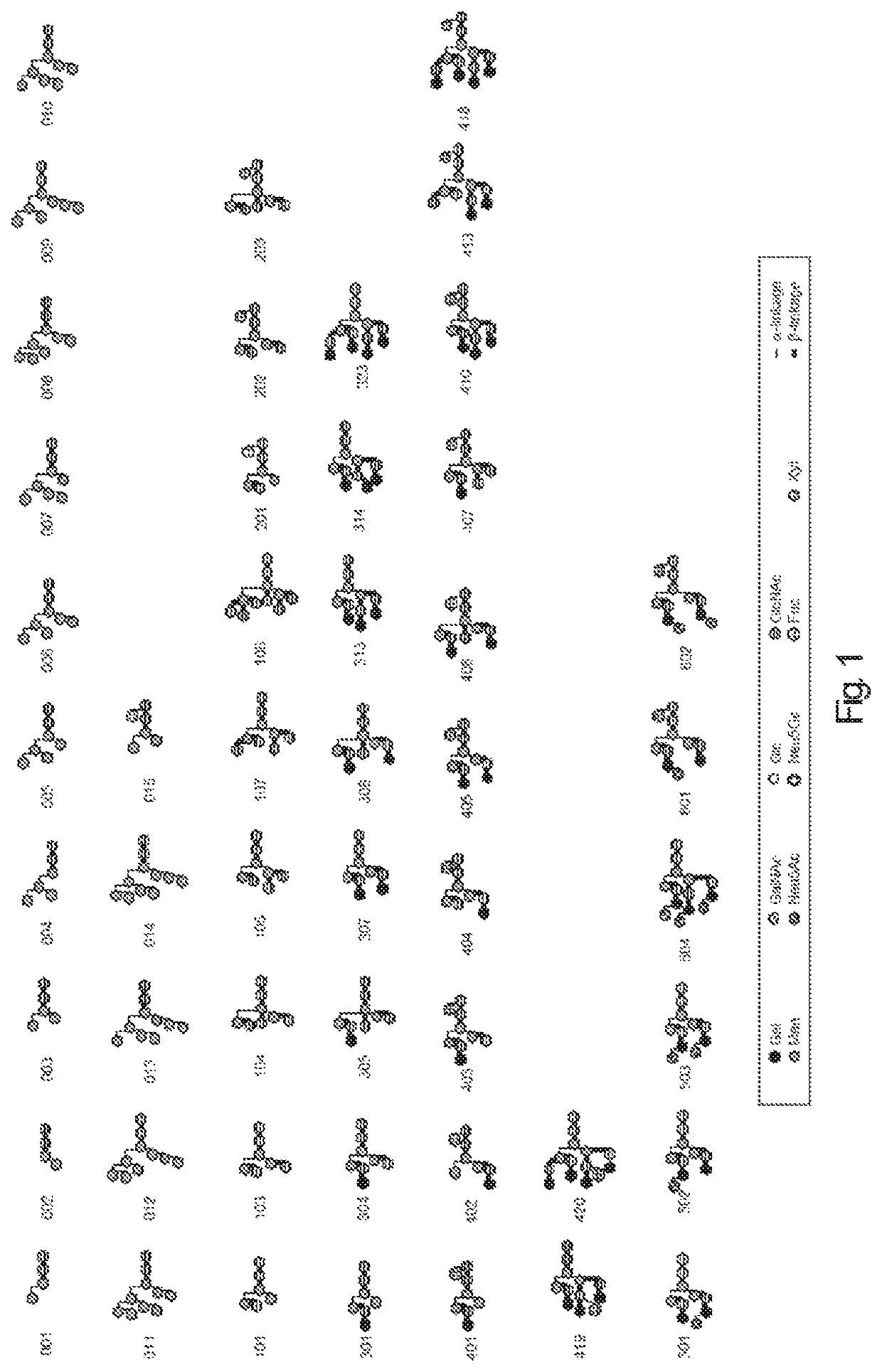 Method, biomarker and diagnostic agent for detection of high-risk prostate cancer