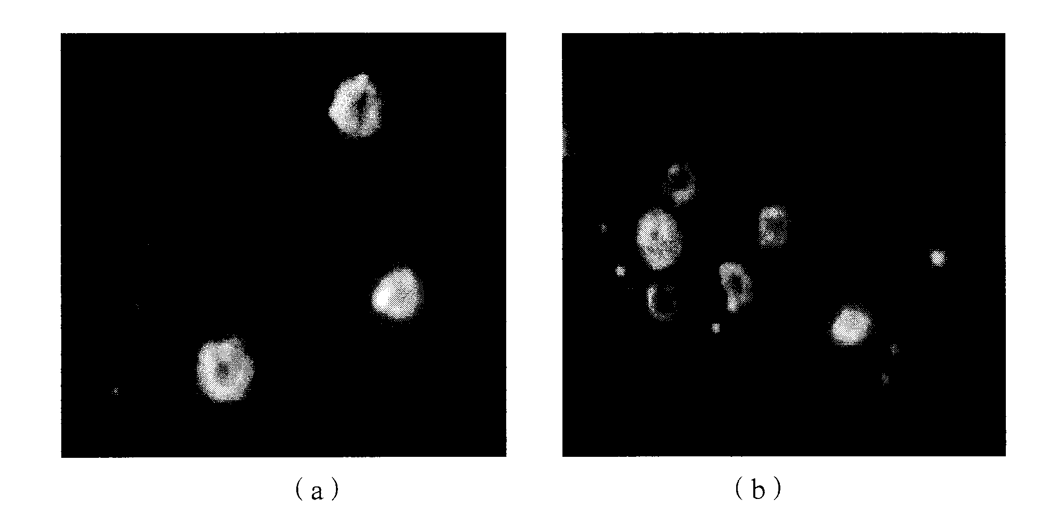 Silver-coated cobalt powder and preparation method thereof