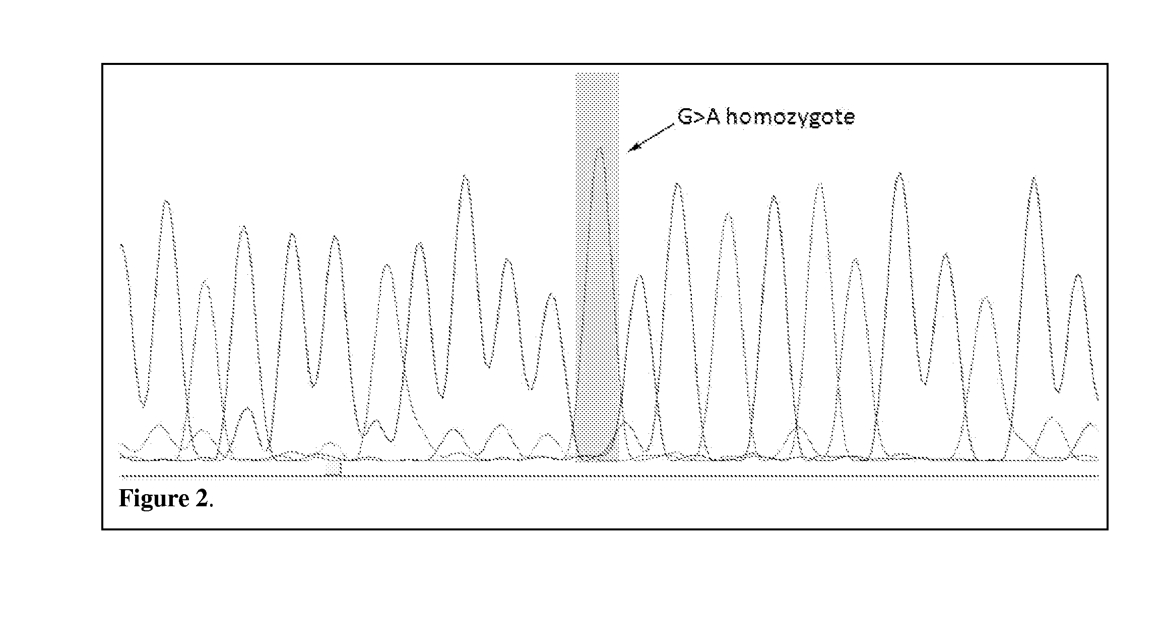 Compositions and methods for genotyping ces1 genetic variants and use thereof