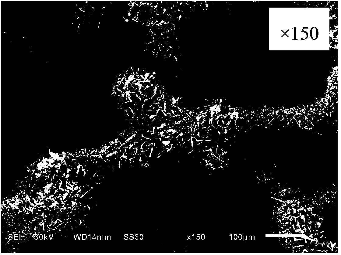 Copper sulfide anode and preparation method thereof