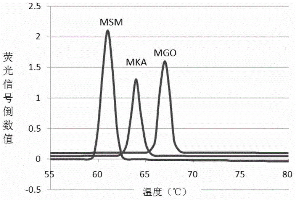 Fluorescent PCR reaction liquid and kit for mycobacterium parting identification