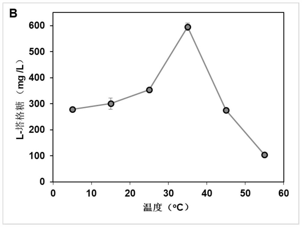 Double-enzyme catalytic system for preparing L-tagatose and application