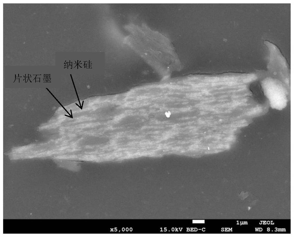 Silicon-carbon composite negative electrode material with high-density structure and preparation method of silicon-carbon composite negative electrode material