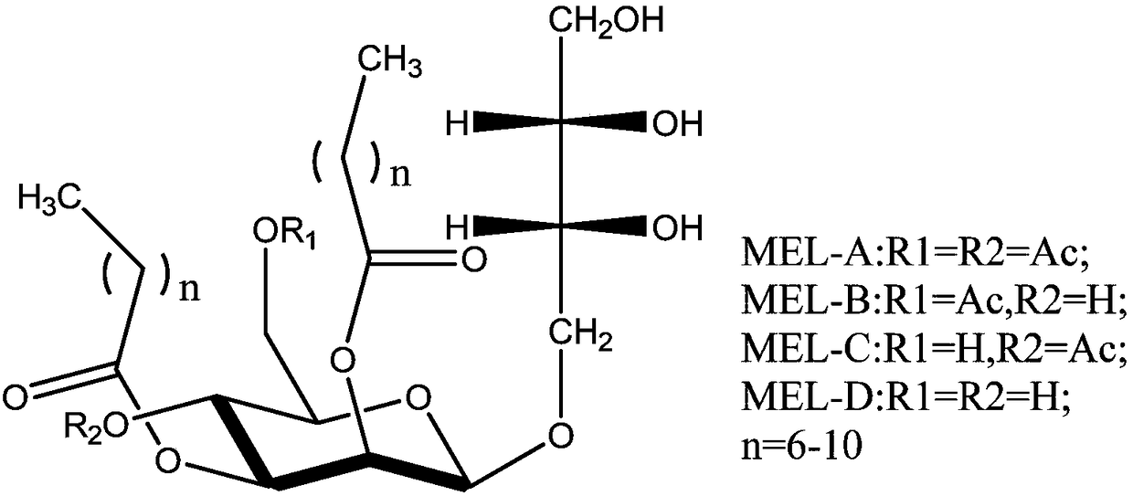 Separation and purification method of mannosylerythritol lipids (MELs)