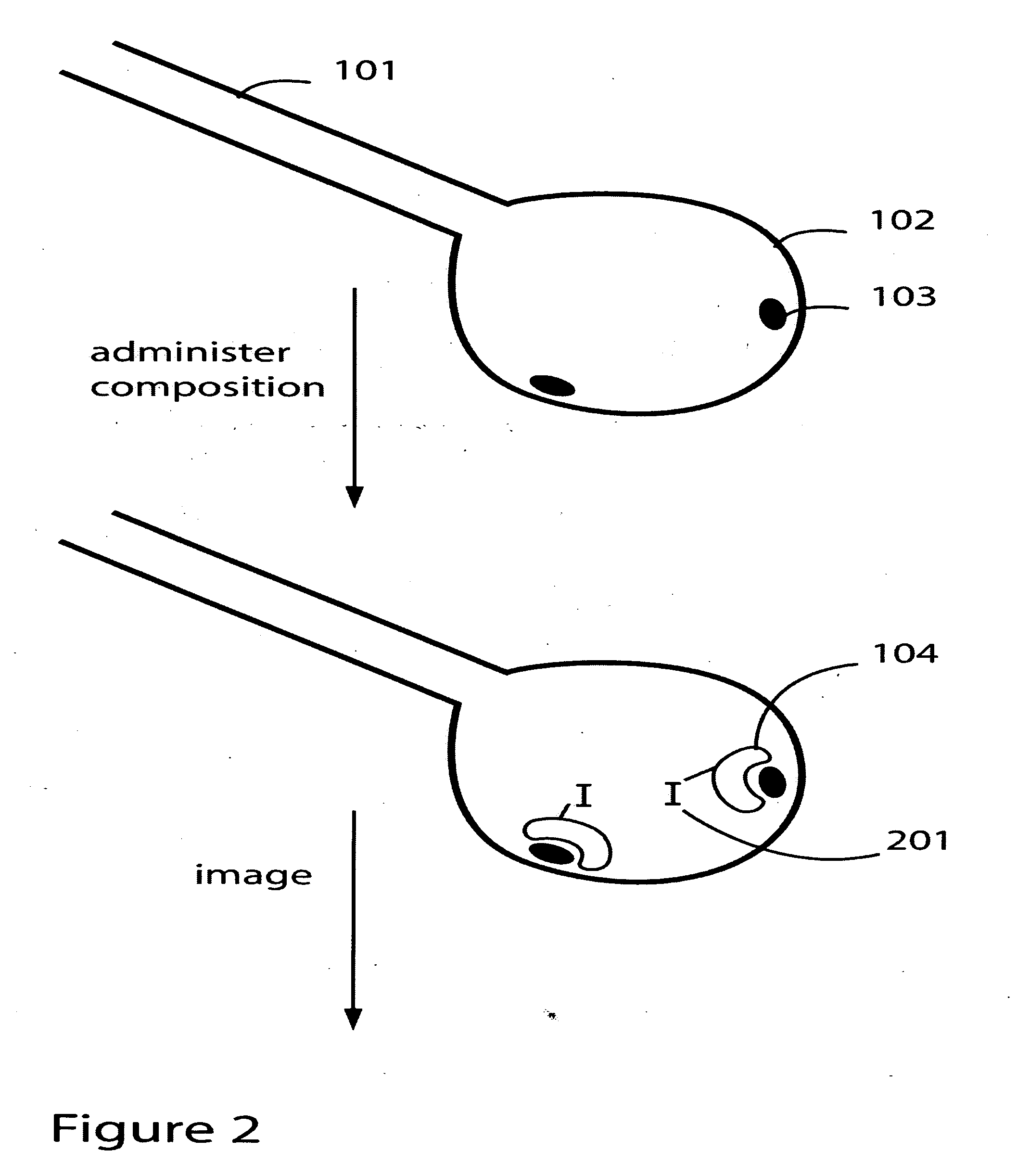 Targeting damaged lung tissue using compositions