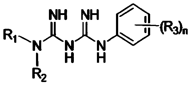 N1-cyclic amine-N5-substituted phenyl biguanide derivatives, methods of preparing the same and pharmaceutical composition comprising the same