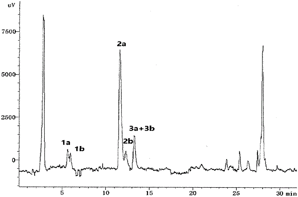Theasaponin extract and preparation method thereof