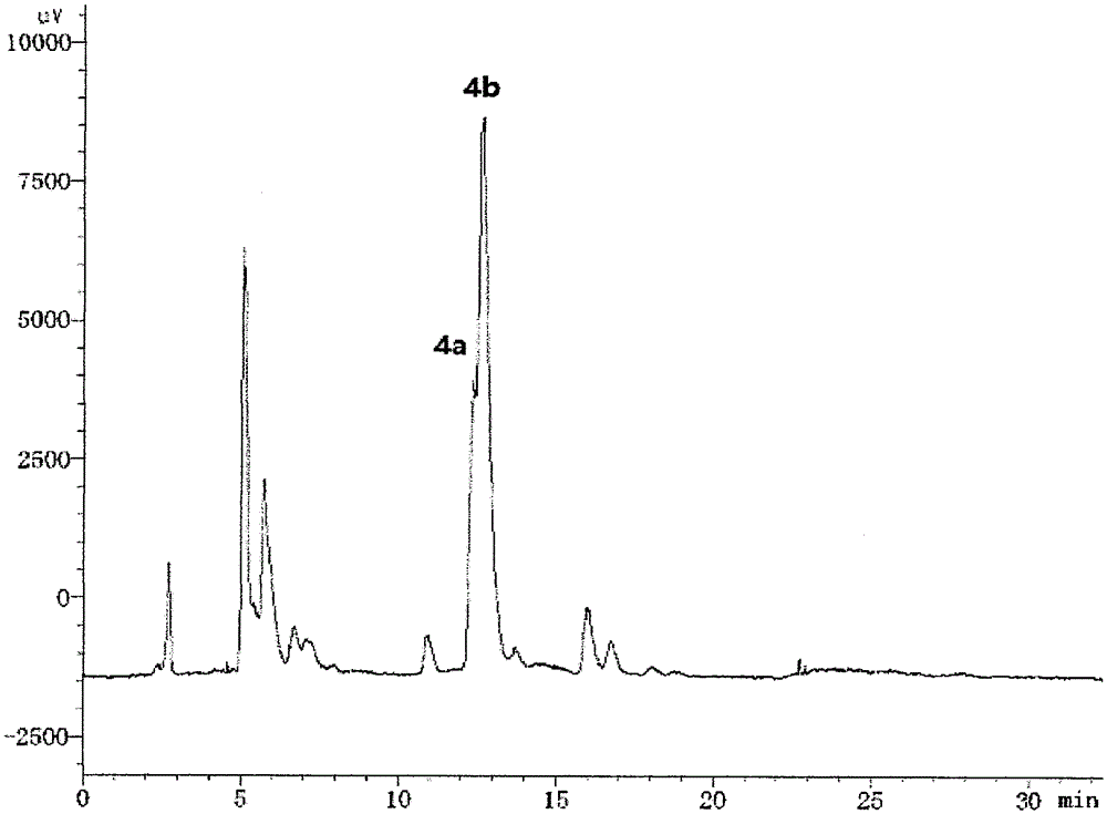 Theasaponin extract and preparation method thereof