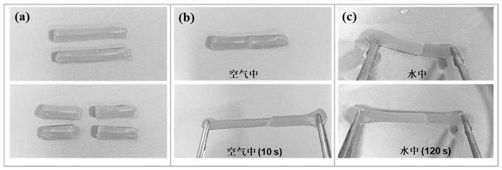 An ultrafast self-healing polysaccharide-based hydrogel strain sensor and its preparation method