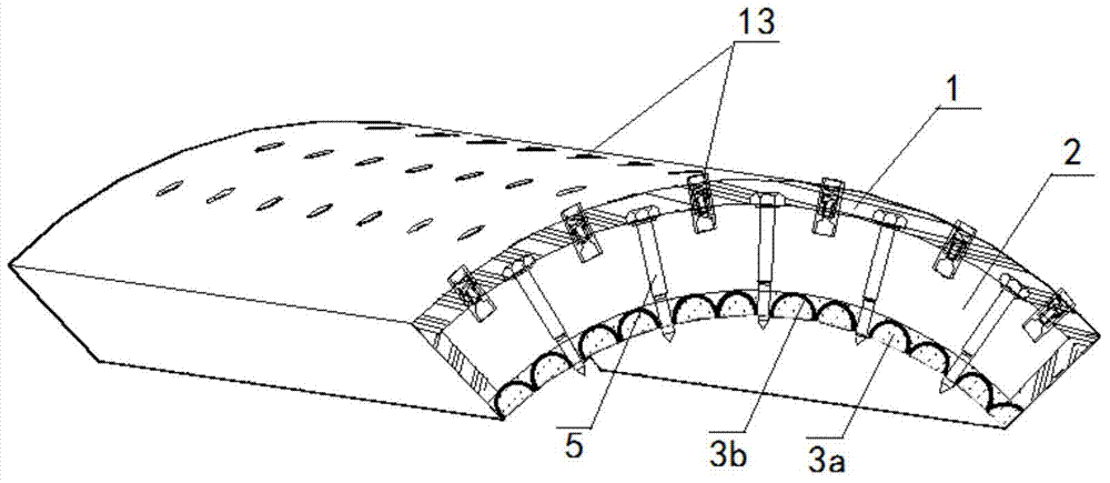 Anti-collision structure of submerged floating tunnel