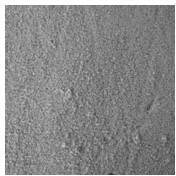 Phenol formaldehyde foam by using aromatic hydrocarbon polyester polyol as toughener and preparation method thereof